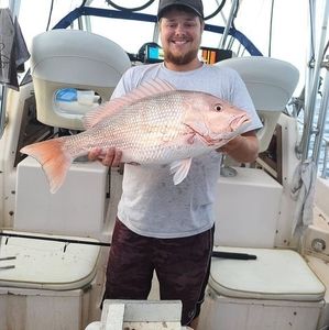 Meet your Posher, Jerry